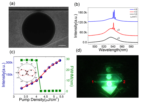 Lead Halide Perovskite Based Microdisk Lasers for On-Chip..