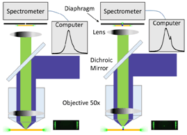 Dark-Field Sensors based on Organometallic Halide Perovsk..