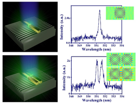 Single Crystal Microrod Based Homonuclear Photonic Molecu..