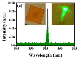 Formation of single-mode laser in transverse plane of per..