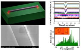 Quasi-guiding Modes in Microfibers on a High Refractive I..